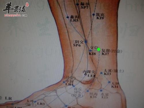 复溜穴功效出色 如何按摩复溜穴