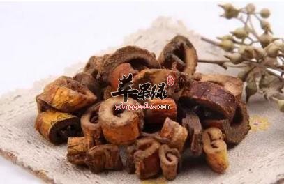 桑白皮可以和哪些药材搭配服用