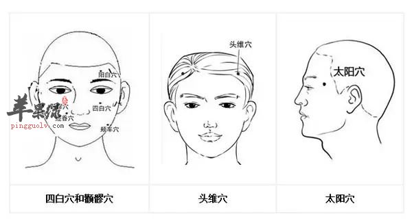 头维穴的位置图和按摩功效