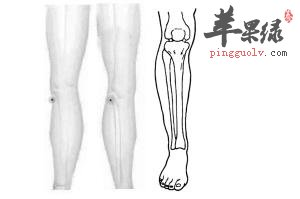 阳陵泉穴的作用以及穴位配伍