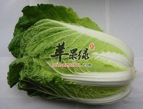 大白菜和西葫芦适合冬季食用