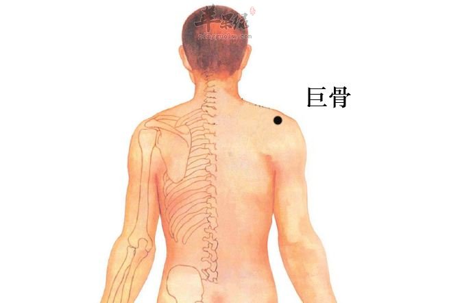 如何找到巨骨穴 坚持按摩可治病