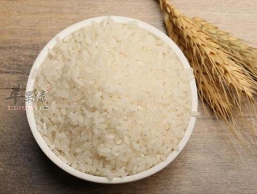 粳米和白米的区别帮你区分两种食物 苹果绿