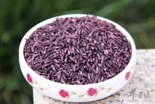 紫米不能和什么一起吃