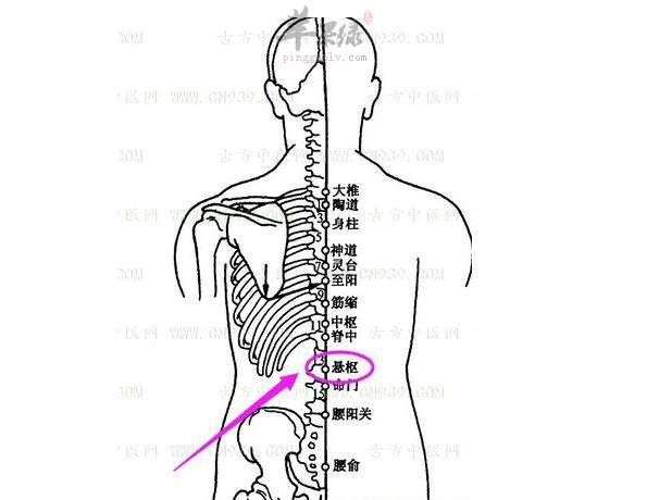 悬枢穴如何按摩 搭配其他穴位效果好