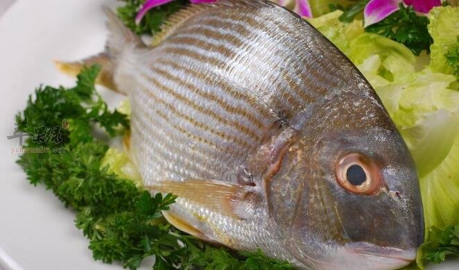 虾和鱼能一起吃吗