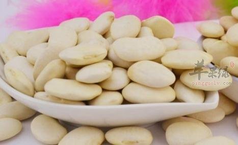 白扁豆的药用价值 能健脾胃预防疾病