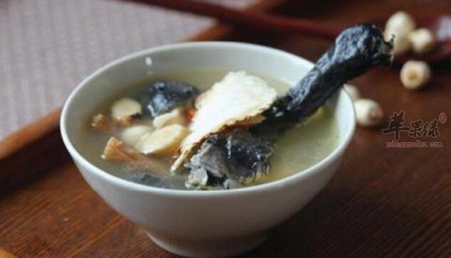 冬瓜乌鸡汤