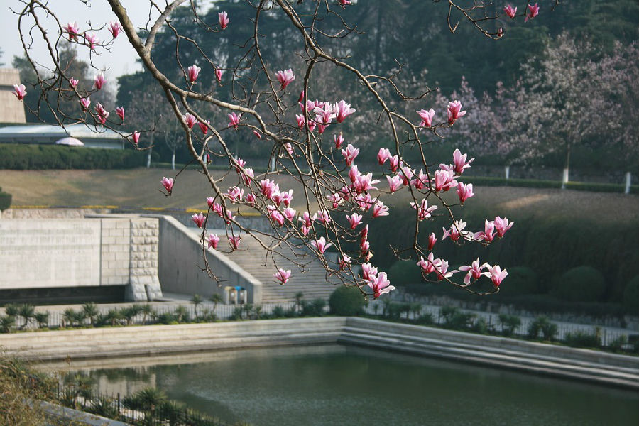 春季适合多外出减压