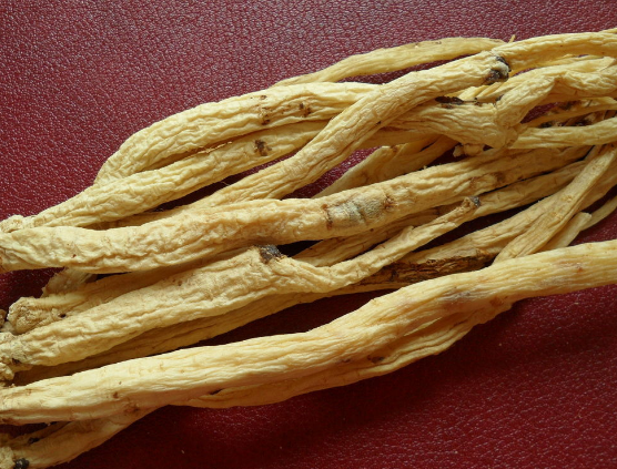 苹果绿 中药大全 党参党参补气的功效是非常显著的,如果自己体内的肺