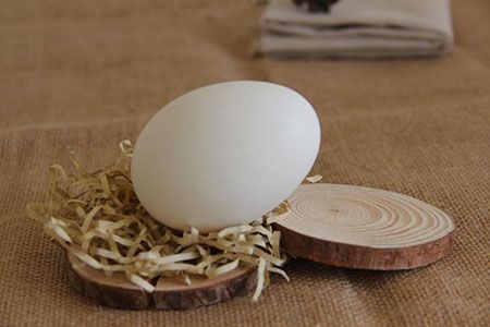 鹅蛋营养丰富 孕妇能否吃鹅蛋