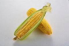 男性朋友春季这样食用讲究