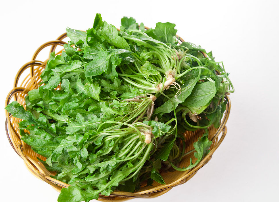 24节气养生荠菜是非常有名的野菜,它还被叫做护生草,荠,芊菜,鸡心菜