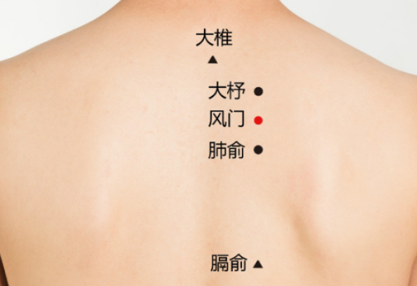 风门穴可以搭配哪些穴位治疗疾病