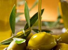 腸胃不好的人可不可以食用橄欖油