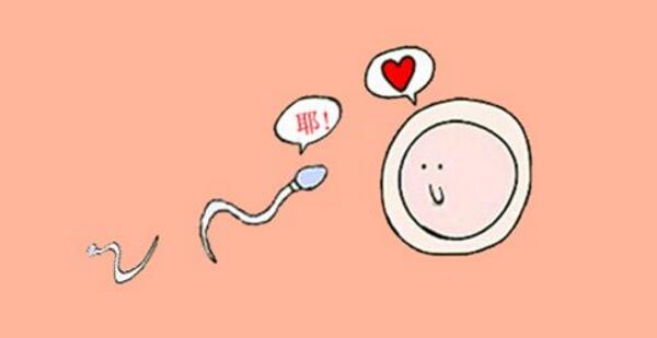 吃精子的好处和坏处_精子能吃吗_吃了精子会怎么样_注意事项_苹果绿