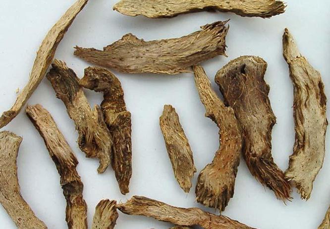 千年健的配伍方法 这样服用效果好