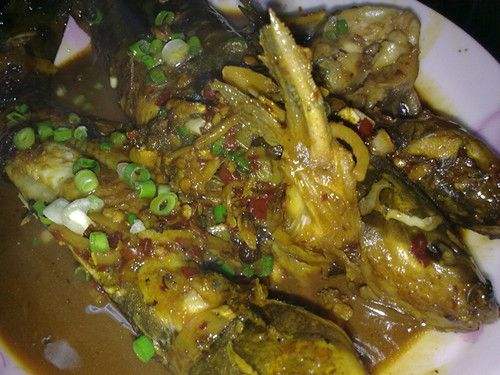 是一種營養價值非常高的肉類食物,但是很多人對於這種魚的做法不是