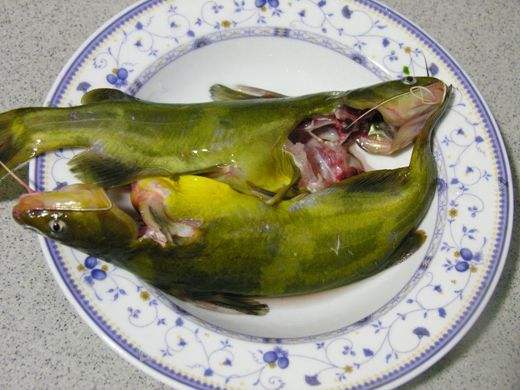 适合产妇食用的黄颡鱼的食谱_苹果绿