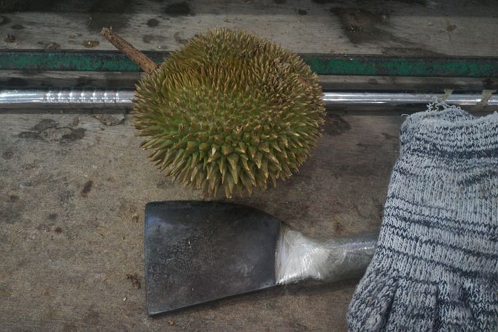 榴莲可以防治哪些病症
