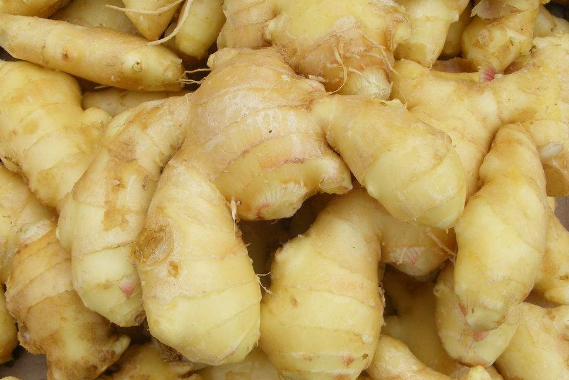 夏天能不能吃生姜 效果如何
