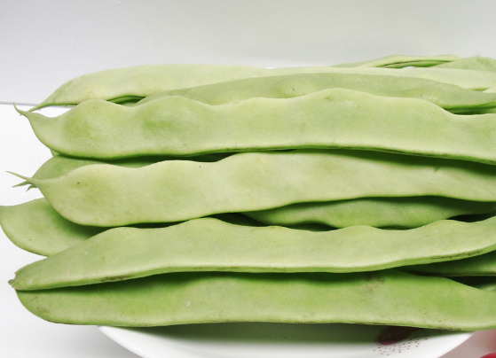 食用扁豆能不能用于治疗暑湿吐泻