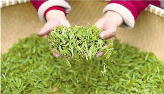 什么样的龙井茶质量更好