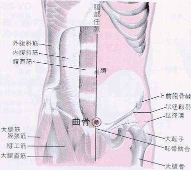 曲骨穴可以很好的治疗前列腺炎