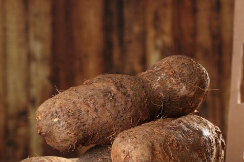 哪些人最好不要吃广山药