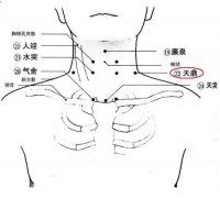 天鼎促进咽喉健康 推荐按摩天鼎