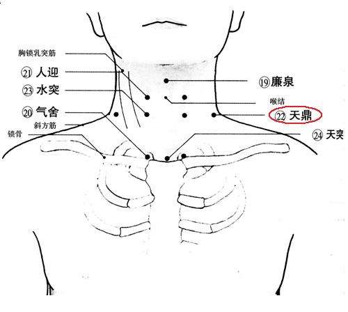 天鼎促进咽喉健康 推荐按摩天鼎养生