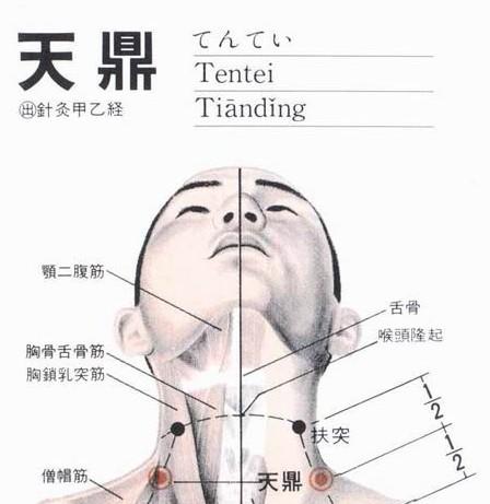 天鼎促进咽喉健康 推荐按摩天鼎养生