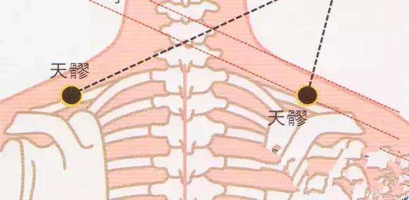 天髎很重要 帮助有效治疗风寒