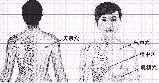 人体气户位置图图片