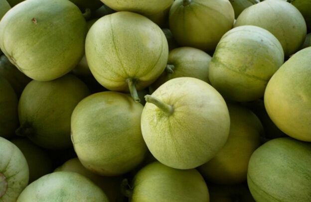 使用甜瓜蒂有副作用 这些情况要小心