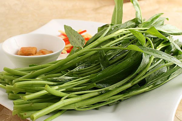 通心菜不能与哪些食物一起吃