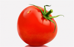 番茄的食用禁忌 合理搭配很重要