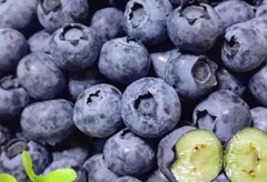 藍莓如何挑選 教你幾個技巧