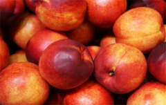 适当吃油桃的功效作用是什么