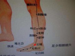 阳陵泉穴的治病功效和穴位配伍