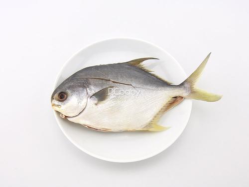 了解一下鲳鱼的食用处理方法
