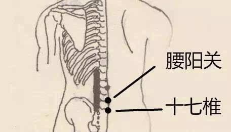 腰阳关穴的按摩手法和穴位配伍