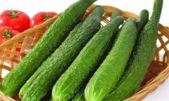 吃黄瓜会减肥吗_晚上吃黄瓜能减肥吗_每天吃黄瓜能减肥吗