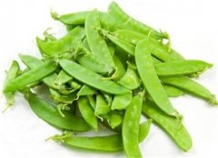 【荷兰豆的适宜人群