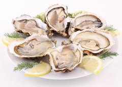 【孕妇补锌的食物有
