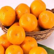 【过量食用橘子会怎