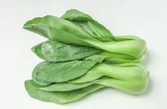 【油菜的食疗价值】