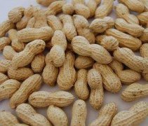 花生的禁忌人群