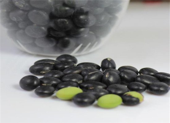 黑豆可以生吃吗 吃了好不好