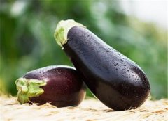 茄子可以治疗哪些疾病